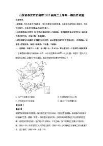 2025届山东省泰安市肥城市高三(上)一模历史试卷(解析版)