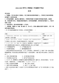 河南省濮阳市2024-2025学年高二上学期期中考试历史试卷