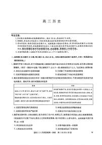 2024年九师联盟高三上学期11月 历史试题及答案