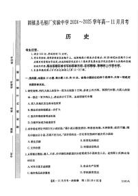 安徽省蚌埠市固镇县毛钽厂实验中学2024-2025学年高一上学期11月月考历史试题