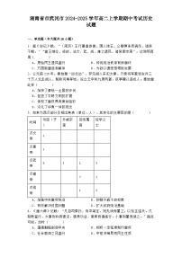 2024-2025学年度湖南省市武冈市高二上学期期中考试历史试题