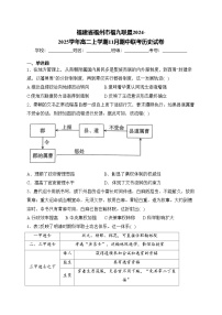 福建省福州市福九联盟2024-2025学年高二上学期11月期中联考历史试卷(含答案)