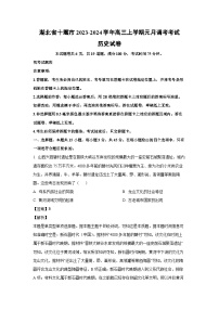 2023-2024学年湖北省十堰市高三(上)元月调考考试历史试卷(解析版)