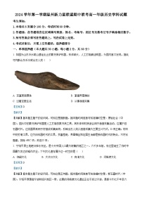 浙江省温州市新力量联盟2024-2025学年高一上学期期中联考历史试题（Word版附解析）