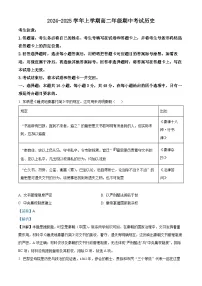 河南省濮阳市2024-2025学年高二上学期11月期中考试历史试卷（Word版附解析）