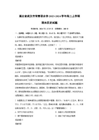 湖北省武汉市常青联合体2023-2024学年高二(上)期末历史试卷(解析版)