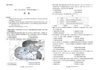 河南省名校大联考2024-2025学年高一上学期12月月考历史试卷（PDF版附答案）