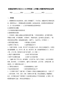安徽省合肥市六校2024-2025学年高二上学期11月期中联考历史试卷(含答案)