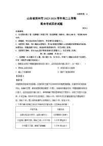 山东省滨州市2023-2024学年高二上学期期末考试历史试卷（解析版）