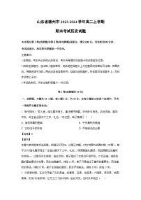 山东省德州市2023-2024学年高二上学期期末考试历史试卷（解析版）