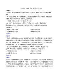 云南省文山壮族苗族自治州文山市第一中学2024-2025学年高一上学期11月月考历史试题(解析版)