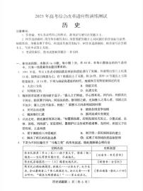 四川省2025年普通高等学校招生考试适应性测试（八省联考）高考模拟考试 历史试题