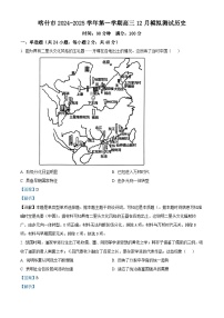 新疆维吾尔自治区喀什市2024-2025学年高三上学期12月模拟考试历史试题（Word版附解析）