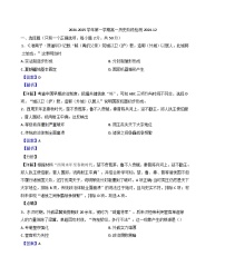 山东省淄博第七中学2024-2025学年高一上学期12月月考历史试题(解析版)