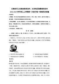 2024~2025学年云南省文山壮族苗族自治州、红河哈尼族彝族自治州高三上学期第一次复习统一检测月考历史试卷（解析版）