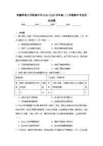 安徽师范大学附属中学2024-2025学年高二上学期期中考试历史试题