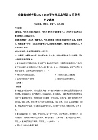2024-2025学年安徽省部分学校高三上学期12月联考历史试卷（解析版）