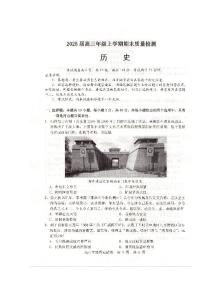 2025武汉武昌区高三上学期期末考试历史PDF版含答案