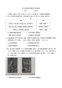 山东省临沂市2024-2025学年高三上学期期末考试历史试题