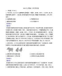 湖南省岳阳县第一中学2024-2025学年高一上学期12月月考历史试题(解析版)