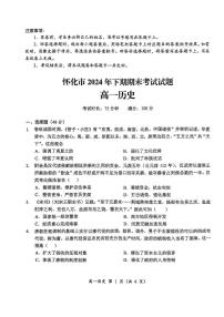 湖南省怀化市2024-2025学年高一上学期期末考试历史试题