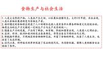 新高考历史一轮复习课件 食物生产与社会生活