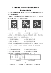 广东省肇庆市2024—2025学年高一第一学期期末考试历史试卷