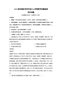 2025届安徽省阜阳市高三上学期教学质量统测历史试卷（解析版）