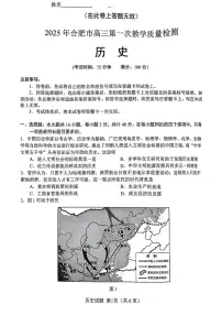 2025合肥高三上学期第一次教学质量检测试题历史PDF版含答案