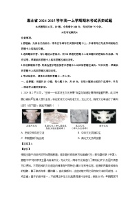 湖北省2024-2025学年高一(上)期末考试历史试卷（解析版）