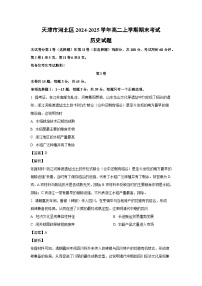 天津市河北区2024-2025学年高二(上)期末考试历史试卷（解析版）