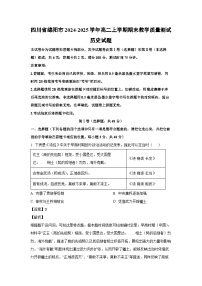 四川省绵阳市2024-2025学年高二(上)期末教学质量测试历史试卷（解析版）
