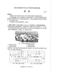 2025届山东省临沂市高三一模考试 历史试卷及答案