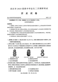 历史丨湖北省武汉市2025届高三下学期二月调研考试（武汉二调）历史试卷及答案