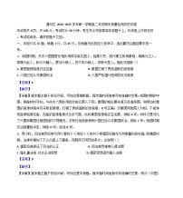 北京市通州区2024-2025学年高二上学期期末考试历史试题(解析版)