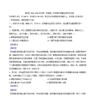 北京市通州区2024-2025学年高二上学期期末考试历史试题(解析版)