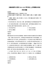 2024-2025学年安徽省智学大联考高二上学期期末考试历史试卷（解析版）