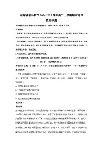 2024~2025学年河南省驻马店市高二上学期期末考试 历史试卷（解析版）
