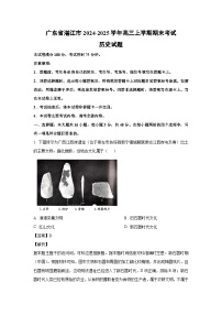 2024~2025学年广东省湛江市高三上学期期末考试历史试卷（解析版）