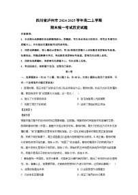 2024-2025学年四川省泸州市高二上学期期末统一考试历史试卷（解析版）