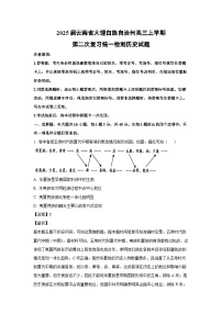 2025届云南省大理白族自治州高三上学期第二次复习统一检测历史试卷（解析版）