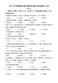 湖南省娄底市部分普通高中2024-2025学年高一上学期考试期末历史试题（原卷版+解析版）