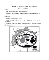 云南省腾冲市第八中学2024-2025学年高二下学期第一次月考历史试题（解析版）