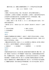 重庆市拔尖强基联盟2024-2025学年高三下学期3月联合考试历史试题 含解析