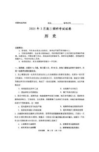 湖南省“长望浏宁”四县联考2025届高三下学期3月高考调研考试历史试题（含答案）