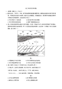河南省驻马店高级中学2024-2025学年高二下学期3月月考历史试题（含解析）