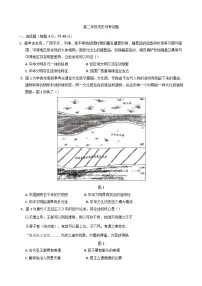 河南省驻马店高级中学2024-2025学年高二下学期3月月考历史试题（含解析）