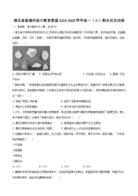 湖北省恩施州高中教育联盟2024-2025学年高一（上）期末历史试卷-普通用卷