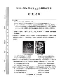 2024届安徽省蒙城五校联盟高三上(11月考)-历史试题（含答案）