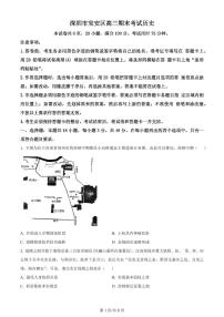 2024届广东省深圳市宝安区高三上学期期末考试(1月)-历史试题（含答案）